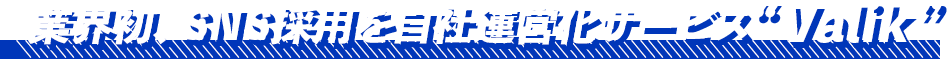 業界初、SNS採用を自社運営化サービス“Valik”